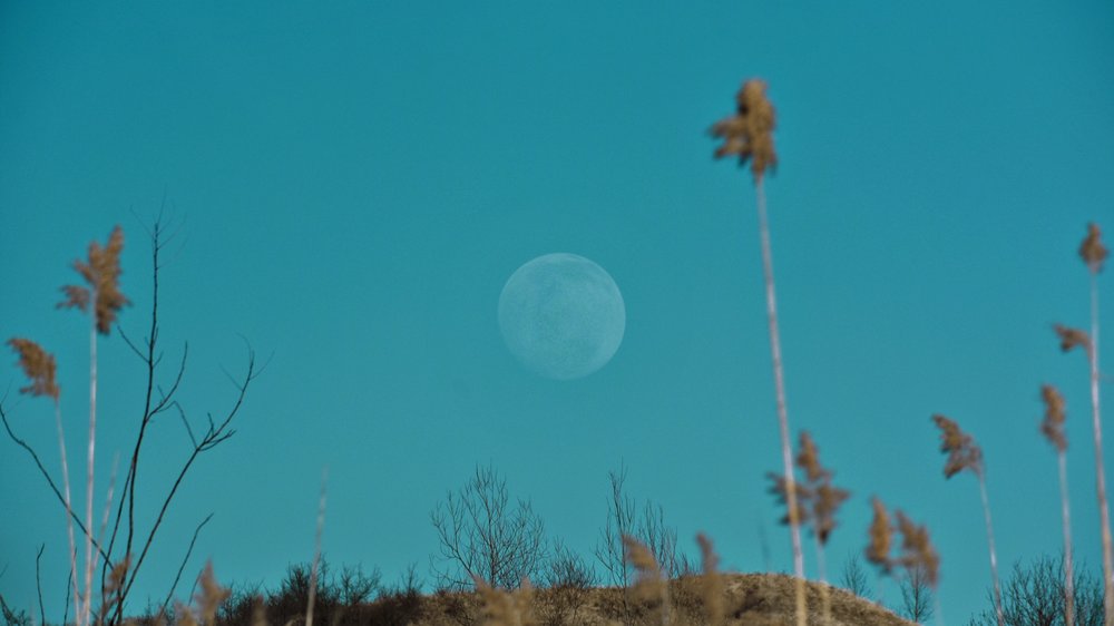 vollmond mai 2023 astrologie